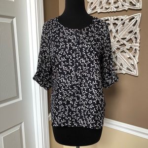 ⭐️ Loft Navy  White Sheer 3/4 Button Up Sleeve Blouse